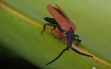 PA280734a.jpg